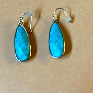 Turquoise drop earrings
